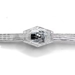 Christmas LED string light