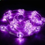 fairy LED string light